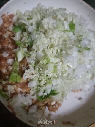 利剑菜猪肉饺子的做法步调：8