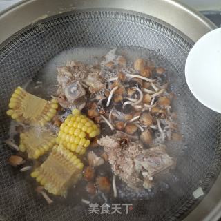 小鸡枞菌龙骨汤的做法步调：12