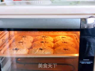 老式桃酥饼干的做法步调：8
