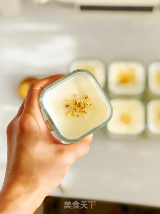 蜂蜜木樨酸奶的做法步调：8