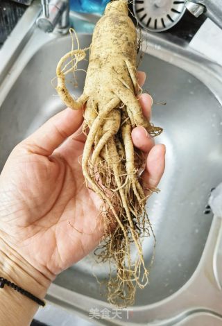 陈人参山药排骨汤的做法步调：1