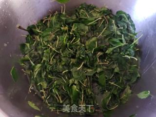 便宜仙人豆腐的做法步调：3