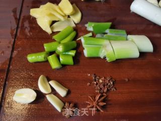 酱炖海鲶鱼的做法步调：4