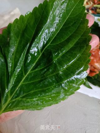苏子叶包煎肉的做法步伐
：15