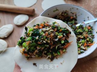 烫里蔬菜盒子的做法步调：12