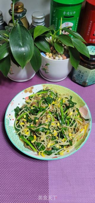 肉丝炒黄芽菜韭菜的做法步调：14