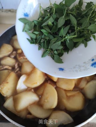 肉片焖萝卜的做法步调：8