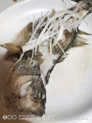浑蒸鲈鱼的做法步调：4