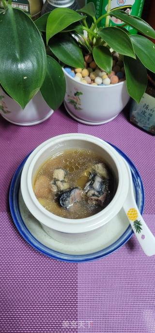 花旗参桂圆黑鸡汤的做法步调：7
