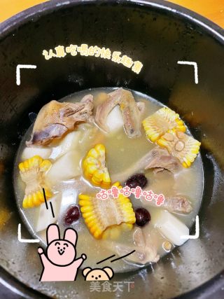 滋补鸽子汤的做法步调：5
