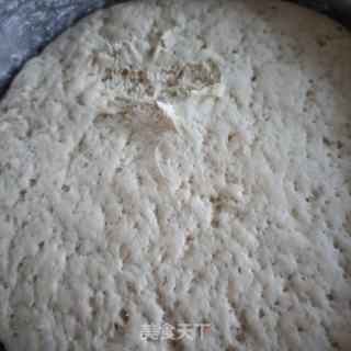 茴喷鼻肉龙的做法步调：4