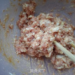 茴喷鼻肉龙的做法步调：8