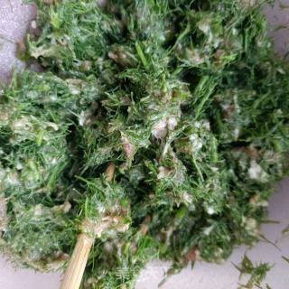 茴喷鼻肉龙的做法步调：11