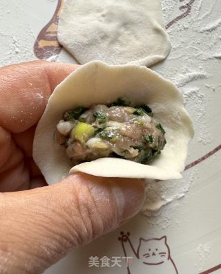 荠菜肉馅饺子的做法步调：14