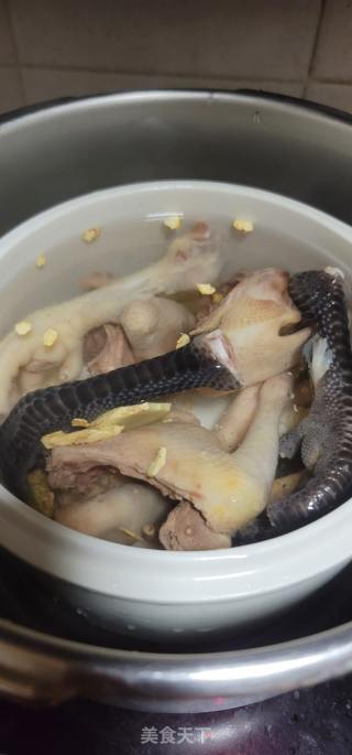 鸽子鸡足花旗参汤的做法步调：6