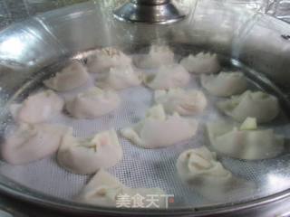 纯菜鸡肉泥年夜馄饨的做法步调：10