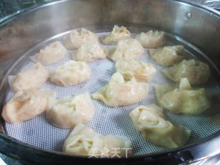 纯菜鸡肉泥年夜馄饨的做法步调：11