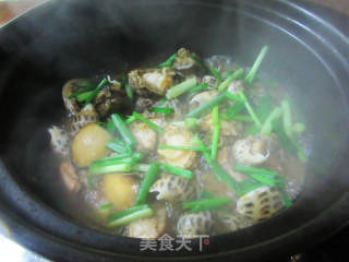 鲍鱼花螺鸡块煲的做法步调：14