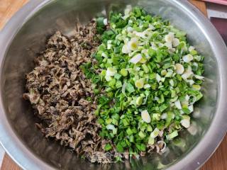 干槐花蒜苗馅包子的做法步调：5