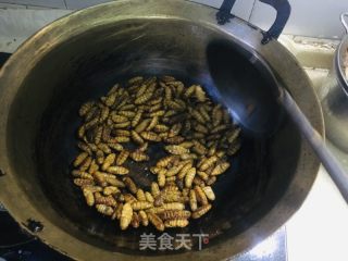 炒蚕蛹的做法步调：4