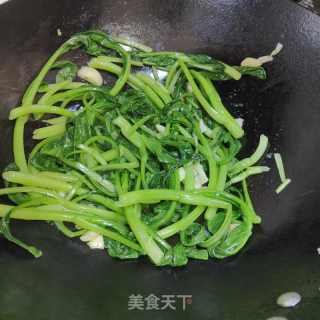 浑炒油菜的做法步调：5