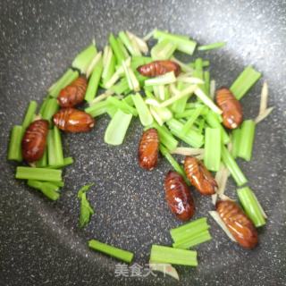 芹菜炒蚕蛹的做法步调：6