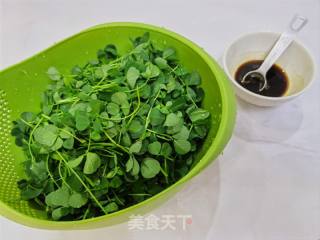 春季限制尝陈/酒喷鼻草头的做法步调：4
