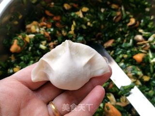 海虹韭菜饺子的做法步调：8
