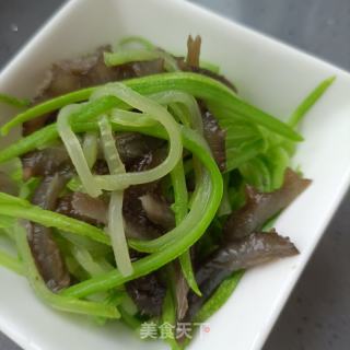 茭瓜拌海参的做法步调：7