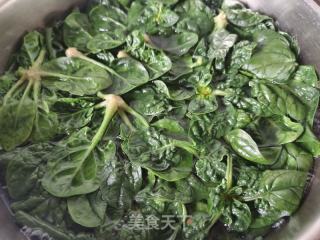 凉拌菠菜的做法步调：4