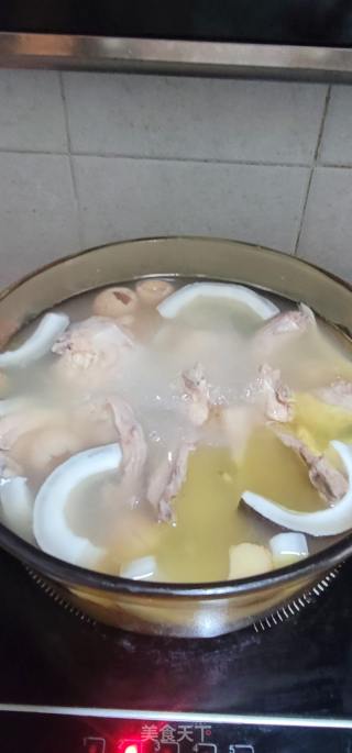 海椰皇花胶鸡汤的做法步调：7