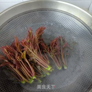 对虾炒喷鼻椿的做法步调：6