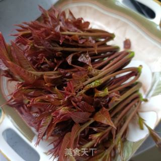 对虾炒喷鼻椿的做法步调：2