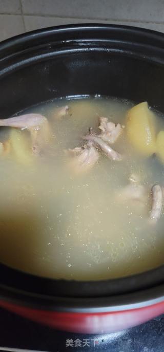 鸽子肥肉煲乌灵芝苹果汤的做法步调：5