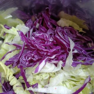 死菜紫苦蓝拌鸽肉的做法步调：5