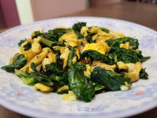 莙荙菜叶炒鸡蛋的做法步调：5