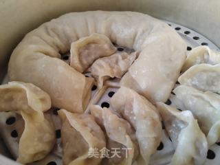 萝卜丝肉馅蒸饺的做法步调：7