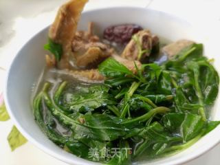 马兰头鸽子汤的做法步调：8