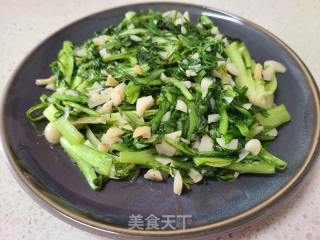 蒜蓉苦菊的做法步调：5