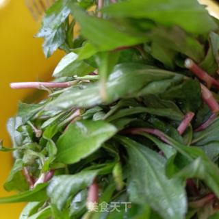 马兰头包菜拌鸽胸肉的做法步调：2
