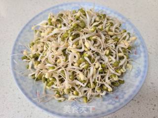 蒜炒绿芽菜的做法步调：1