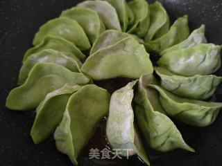 菠菜汁死煎饺的做法步调：3