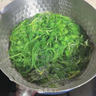 艾草麦麸馒头的做法步调：2