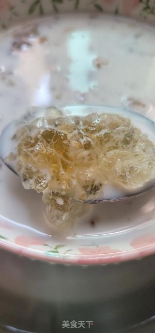 牛奶桃胶的做法步调：6