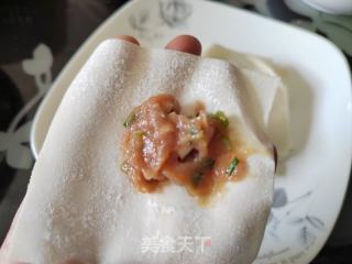 酸汤肉馅小馄饨的做法步调：5