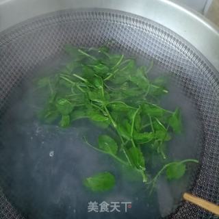豌豆尖鸽汤里的做法步调：10
