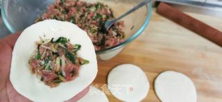 苦菜肉包子的做法步调：11