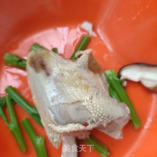喷鼻菇菜芯拌鸽胸肉的做法步调：6