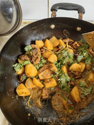 喷鼻菜土豆烧牛肉的做法步调：14