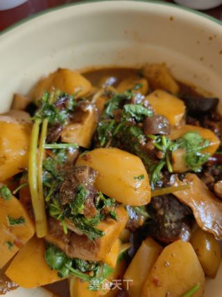 喷鼻菜土豆烧牛肉的做法步调：15